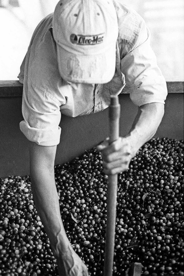 FA_028_Dezale_033_rgb